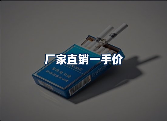 专业团队办公环境